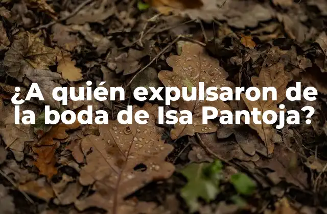 ¿a Quién Expulsaron de la Boda de Isa Pantoja?