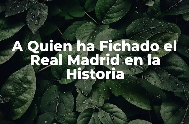 A Quien Ha Fichado el Real Madrid en la Historia