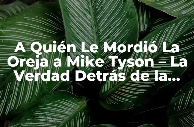 A Quién Le Mordió la Oreja a Mike Tyson – la Verdad Detrás de la Leyenda