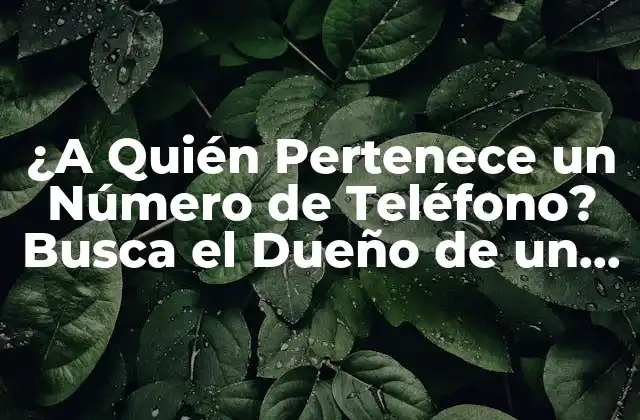 ¿a Quién Pertenece un Número de Teléfono? Busca el Dueño de un Número de Teléfono