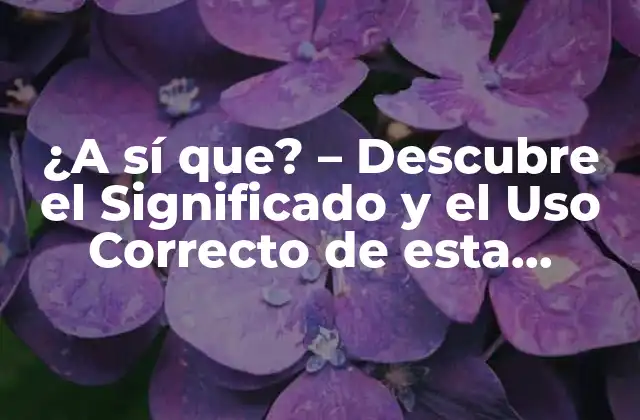 ¿a Sí Que? – Descubre el Significado y el Uso Correcto de Esta Expresión