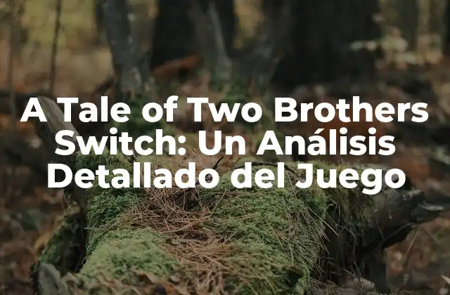 La Historia detrás de A Tale of Two Brothers
