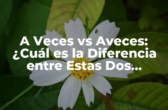 A Veces Vs Aveces: ¿cuál es la Diferencia entre Estas Dos Palabras?