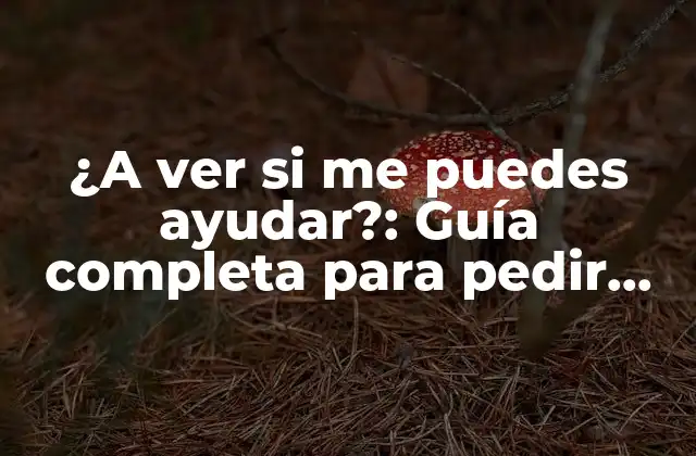 ¿a Ver Si Me Puedes Ayudar?: Guía Completa para Pedir Ayuda de Manera Efectiva