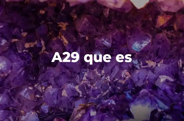 A29 que es