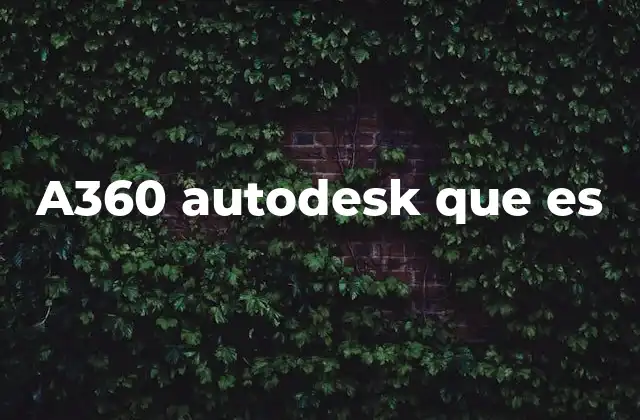 A360 Autodesk que es