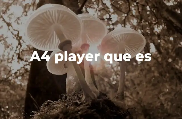 A4 Player que es