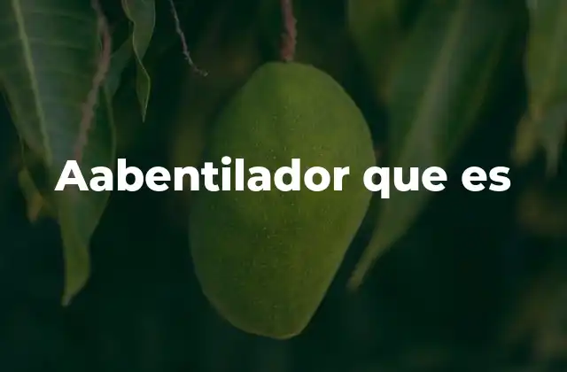 Aabentilador que es