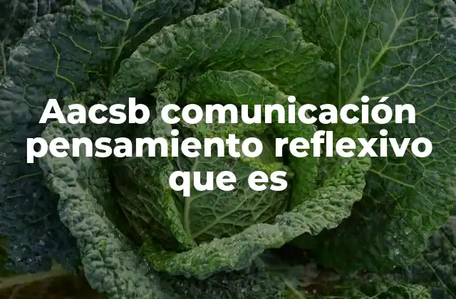 Aacsb Comunicación Pensamiento Reflexivo que es 2 La importancia del pensamiento crítico en la formación académica