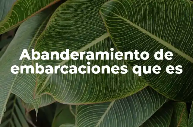 Abanderamiento de Embarcaciones que es 2 ¿Cómo afecta el abanderamiento al funcionamiento de una embarcación?
