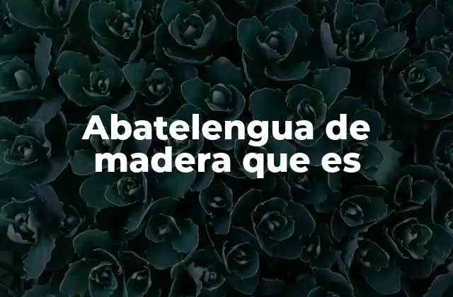 Abatelengua de Madera que es