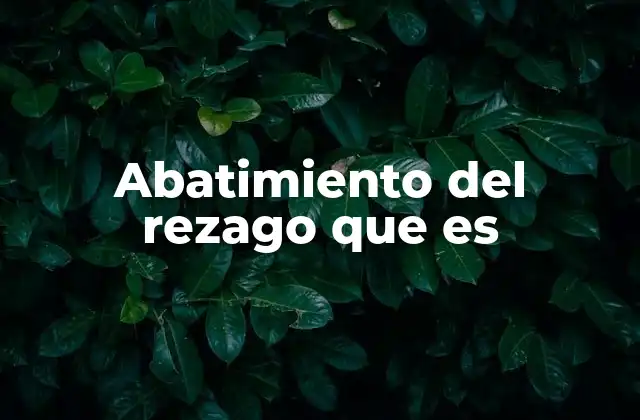 Abatimiento Del Rezago que es