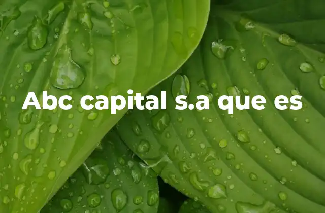 Abc Capital S.a que es