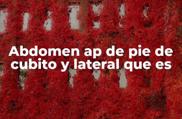 Abdomen Ap de Pie de Cubito y Lateral que es