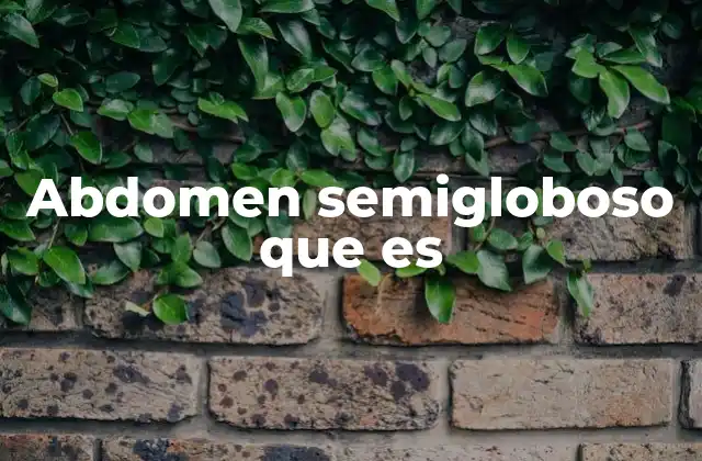 Abdomen Semigloboso que es