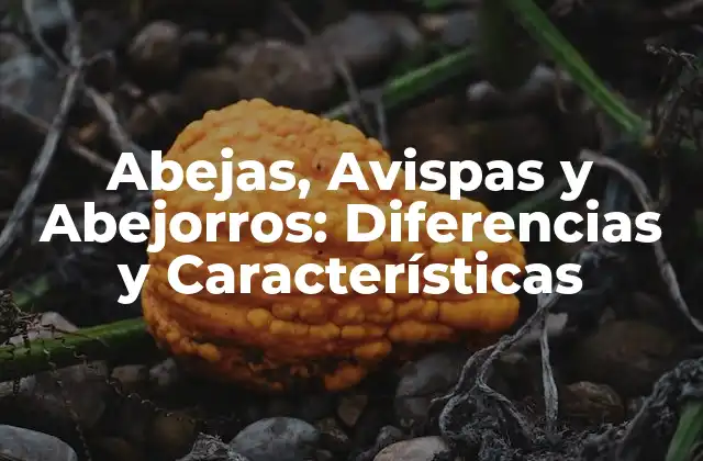 Abejas, Avispas y Abejorros: Diferencias y Características 2 ¿Cuáles son las Características Principales de las Abejas?