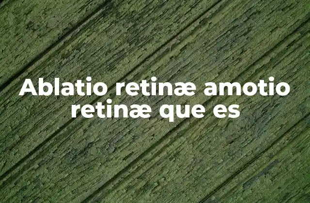 Ablatio Retinæ Amotio Retinæ que es