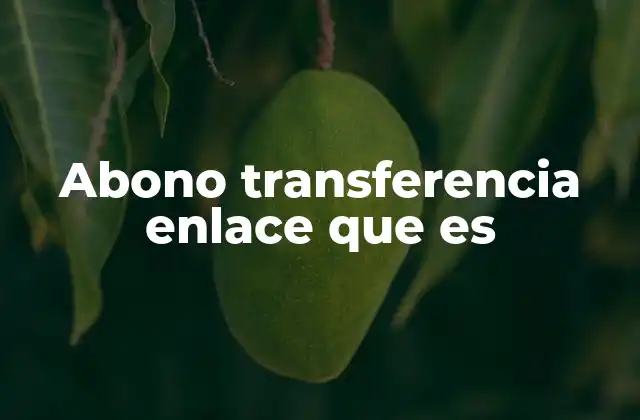 Abono Transferencia Enlace que es