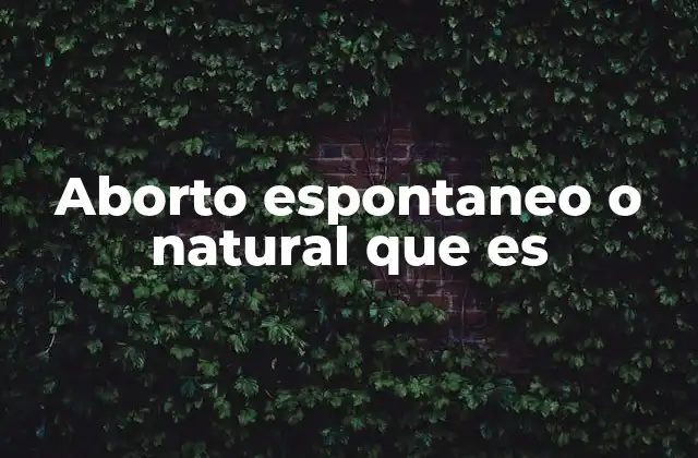Aborto Espontaneo o Natural que es