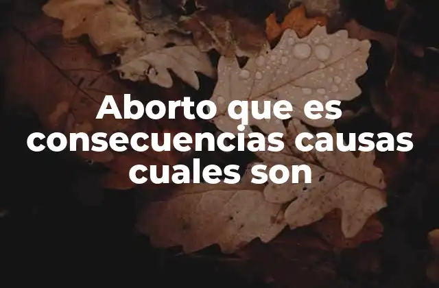 Aborto que es Consecuencias Causas Cuales Son