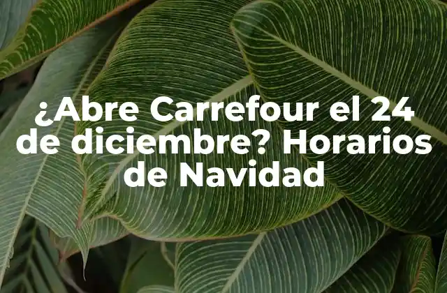 ¿abre Carrefour el 24 de Diciembre? Horarios de Navidad