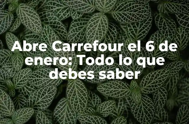 Abre Carrefour el 6 de Enero: Todo Lo que Debes Saber