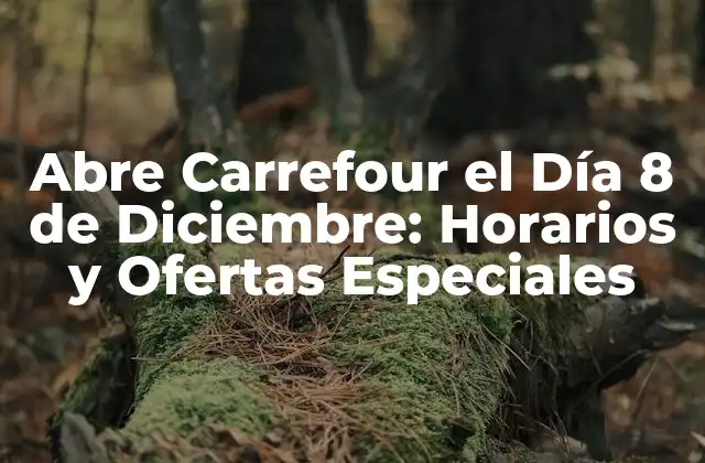 Abre Carrefour el Día 8 de Diciembre: Horarios y Ofertas Especiales
