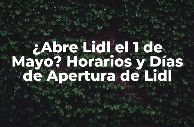 ¿abre Lidl el 1 de Mayo? Horarios y Días de Apertura de Lidl