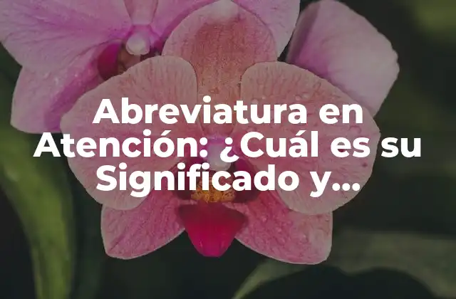Abreviatura en Atención: ¿cuál es Su Significado y Importancia en la Comunicación?