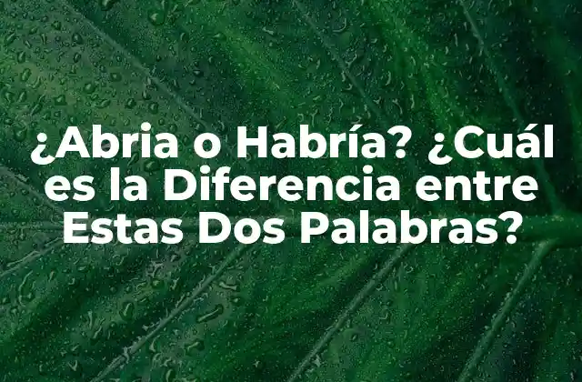 ¿abria o Habría? ¿cuál es la Diferencia entre Estas Dos Palabras?