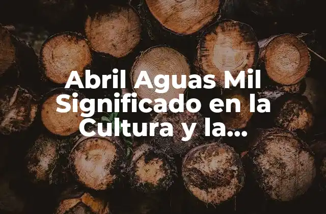 Orígenes del Término Abril Aguas Mil