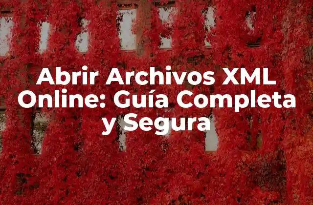 Abrir Archivos Xml Online: Guía Completa y Segura