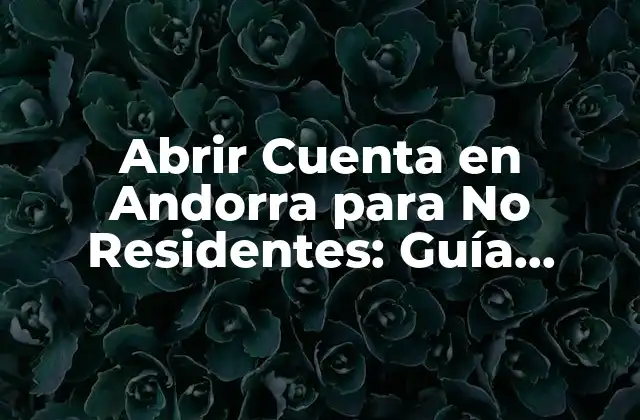 ¿Por qué Abrir una Cuenta en Andorra es una Buena Opción para No Residentes?