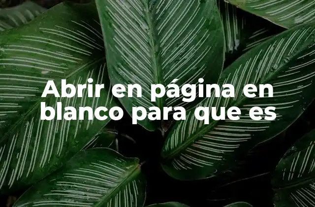 Abrir en Página en Blanco para que es