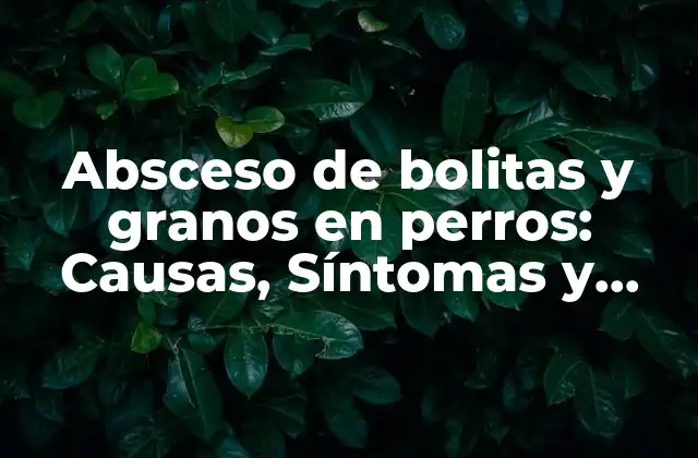 Absceso de Bolitas y Granos en Perros: Causas, Síntomas y Tratamiento