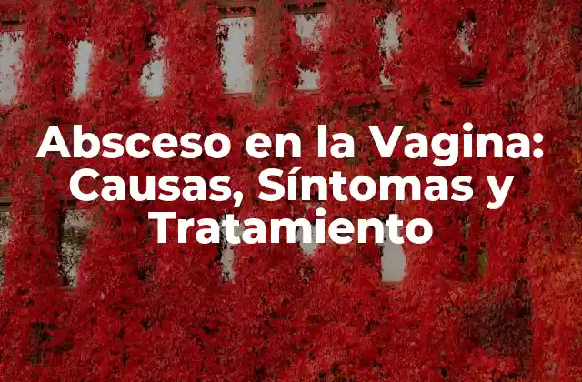 Causas del Absceso en la Vagina