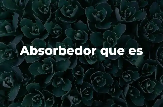 La importancia de los absorbedores en el diseño moderno