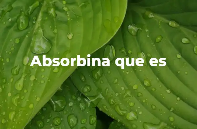 Absorbina que es