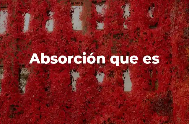 ¿Cómo se diferencia la absorción de otros procesos similares?