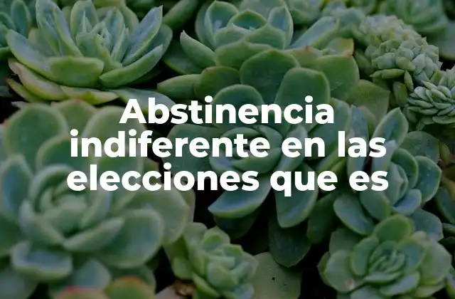 Abstinencia Indiferente en las Elecciones que es
