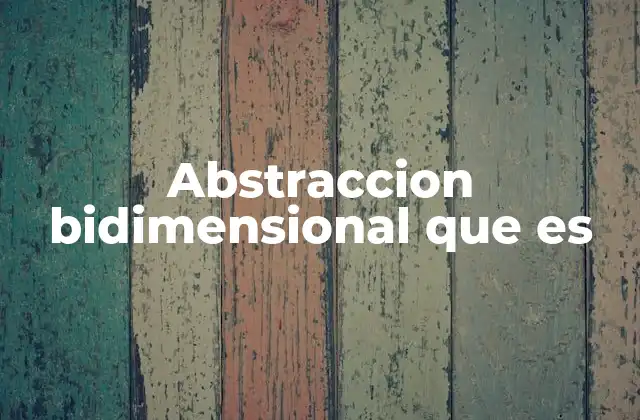 Abstraccion Bidimensional que es