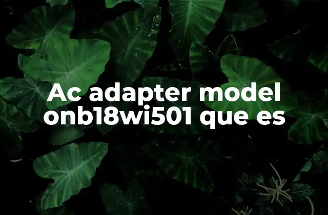 Características técnicas del AC Adapter Model ONB18WI501