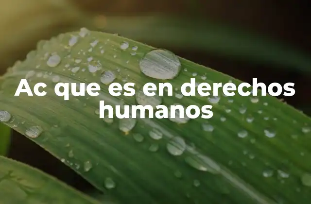 Ac que es en Derechos Humanos