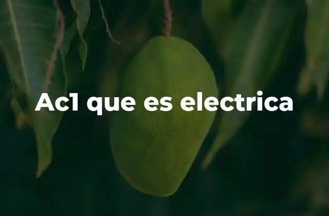 Ac1 que es Electrica