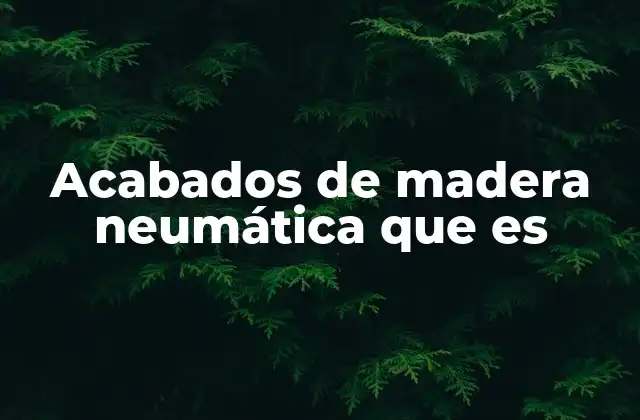 Acabados de Madera Neumática que es