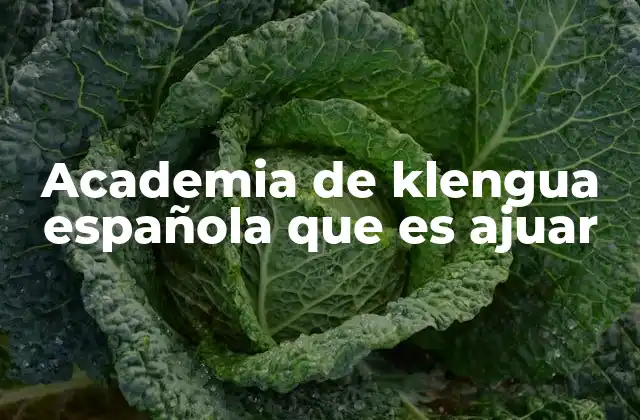 Academia de Klengua Española que es Ajuar 2 La importancia de la lengua como ajuar cultural