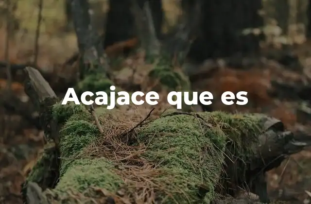 Acajace que es