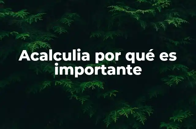 Acalculia por Qué es Importante