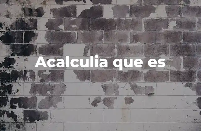 Acalculia que es