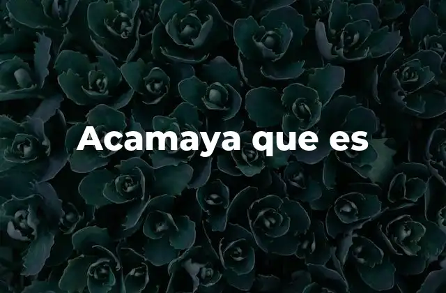 Acamaya que es